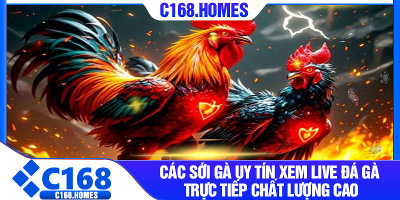 Các sới gà uy tín xem live đá gà trực tiếp chất lượng cao
