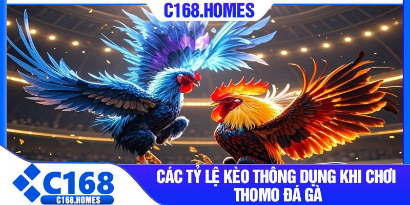 Các tỷ lệ kèo thông dụng khi chơi Thomo đá gà
