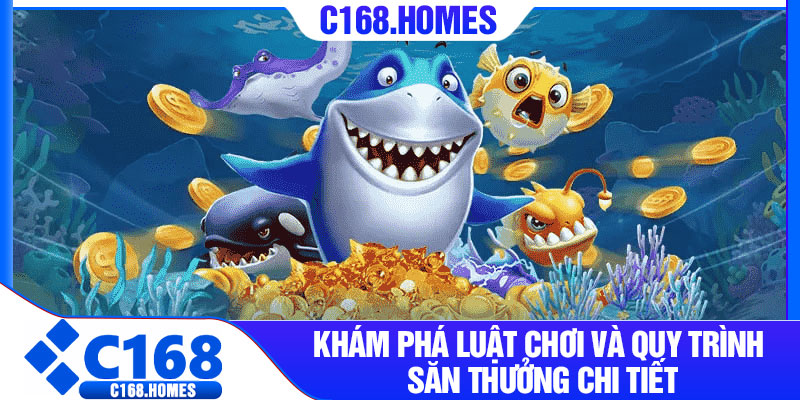 Khám phá luật chơi và quy trình săn thưởng chi tiết