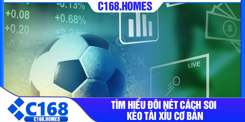 Tìm hiểu đôi nét cách soi kèo tài xỉu cơ bản