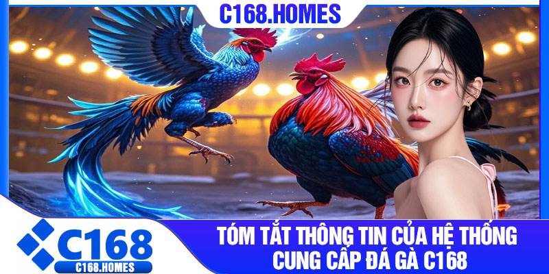 Tóm tắt thông tin của hệ thống cung cấp đá gà c168